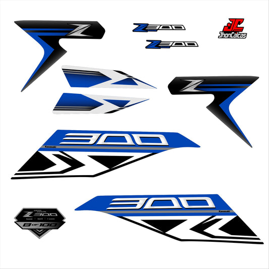CALCAS Z300