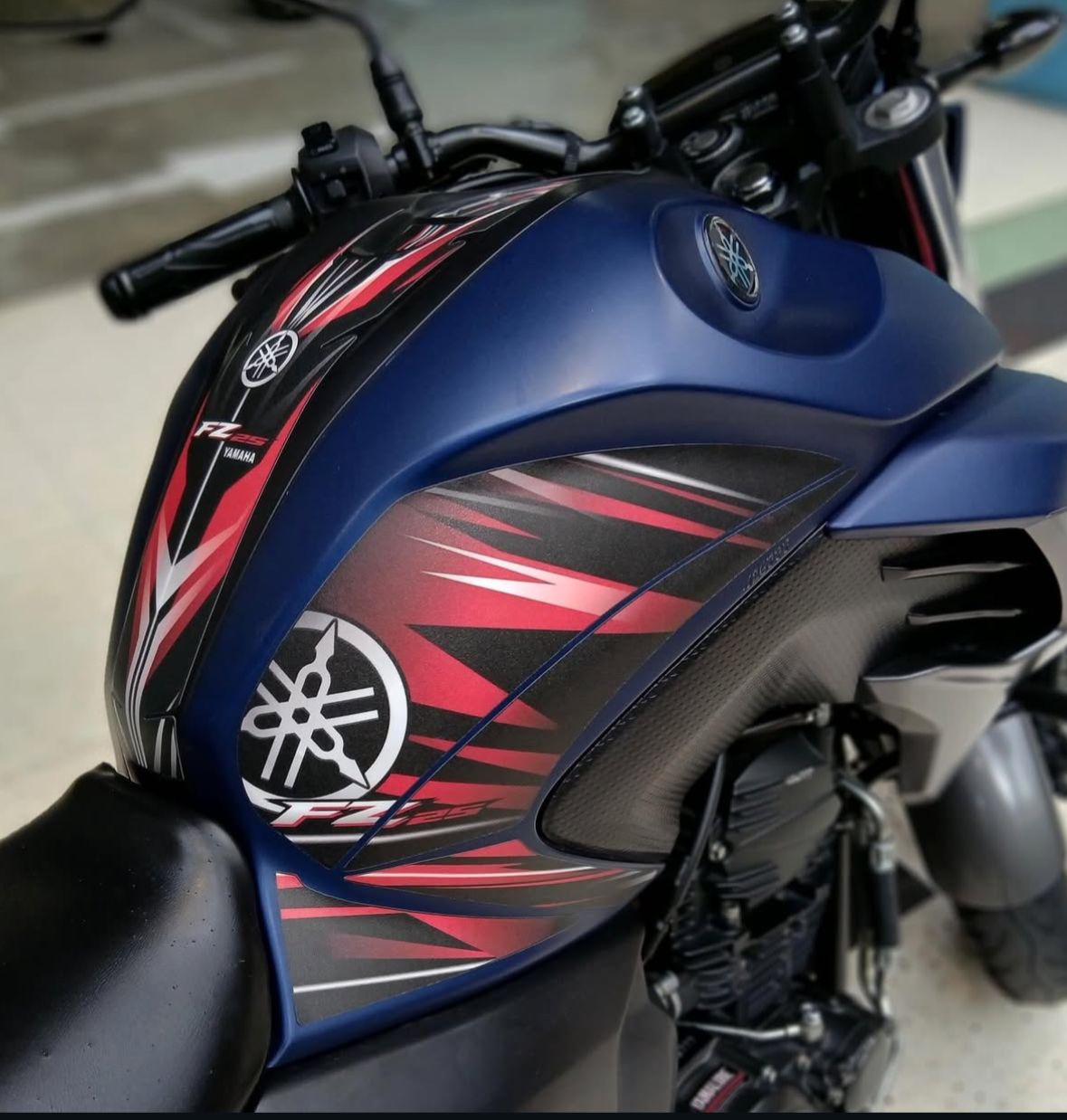 PROTECTOR FZ 250 REF 002