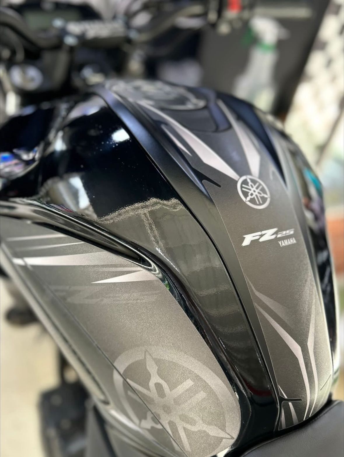 PROTECTOR FZ 250 REF 001