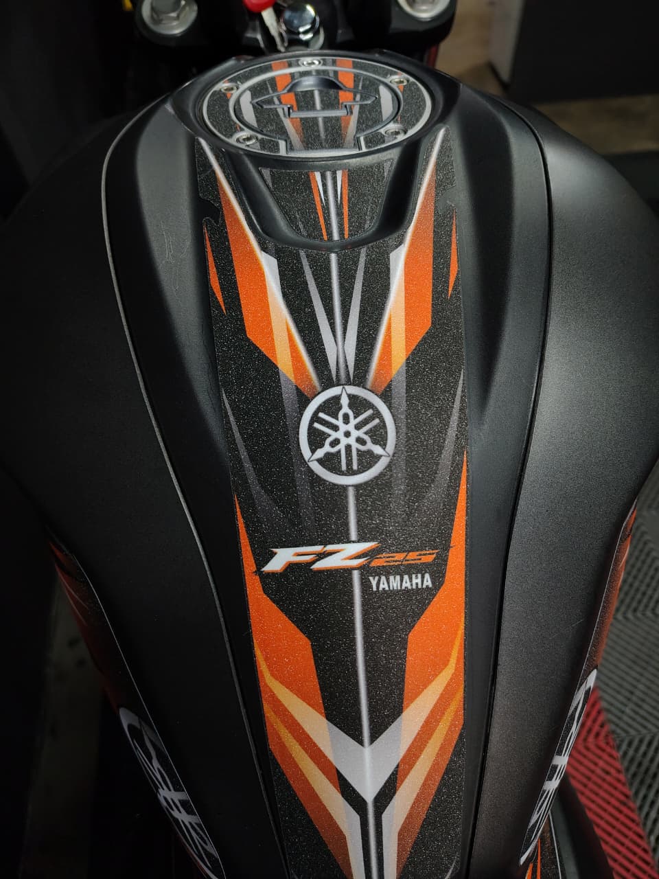 PROTECTOR FZ 250 REF 002