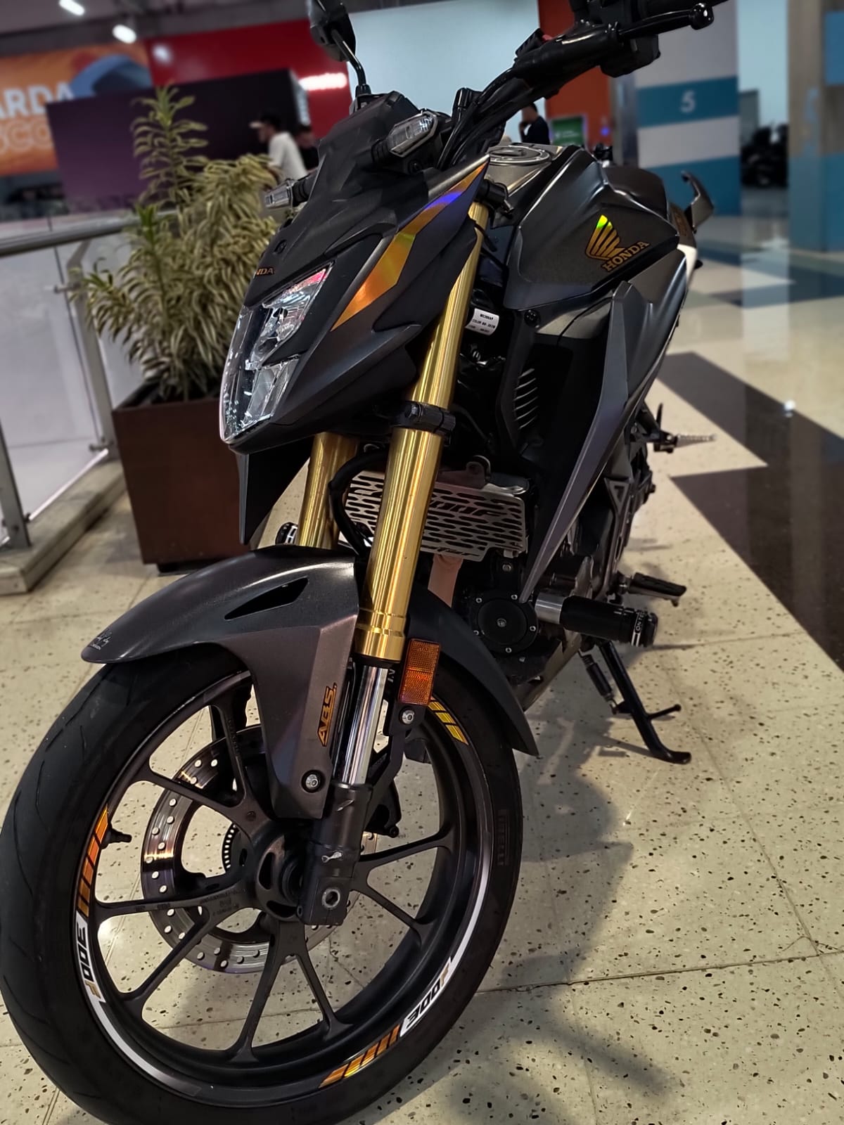 PERSONALIZADO CB TWISTER 300F Y PROTECTOR DE TANQUE