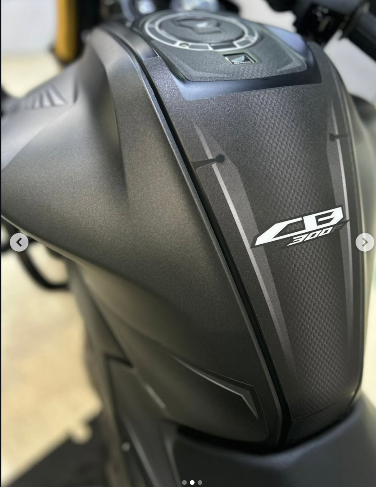 PROTECTOR CB300